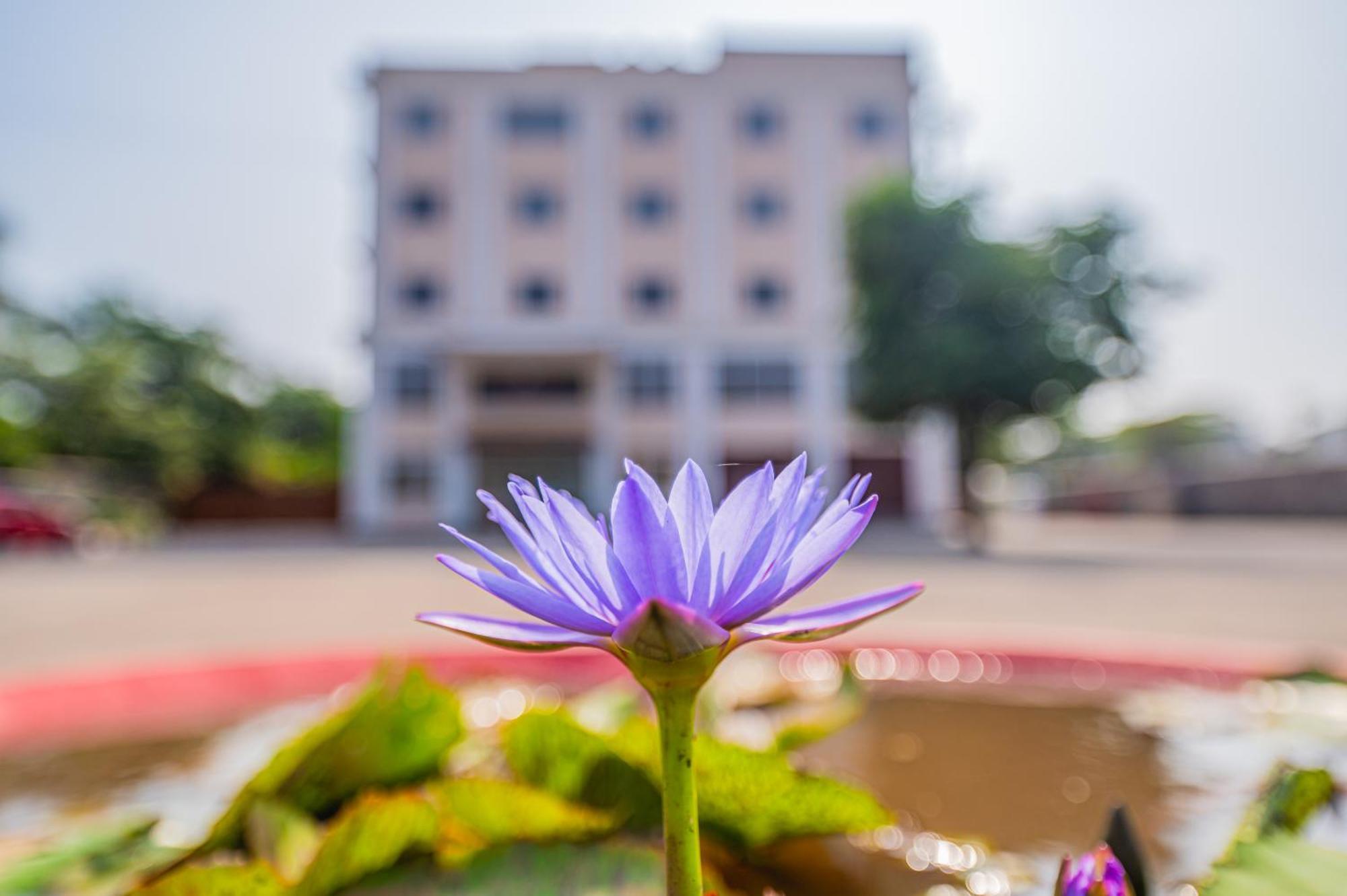 Отель Lotus Leaf Pali  Экстерьер фото
